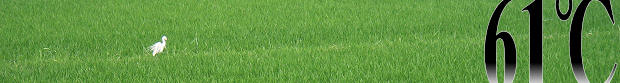 \ʐ^2006N91
