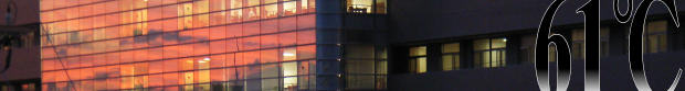 \ʐ^2006N123