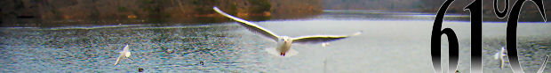 \ʐ^2007N11