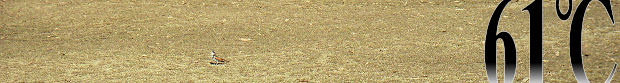 \ʐ^2007N12